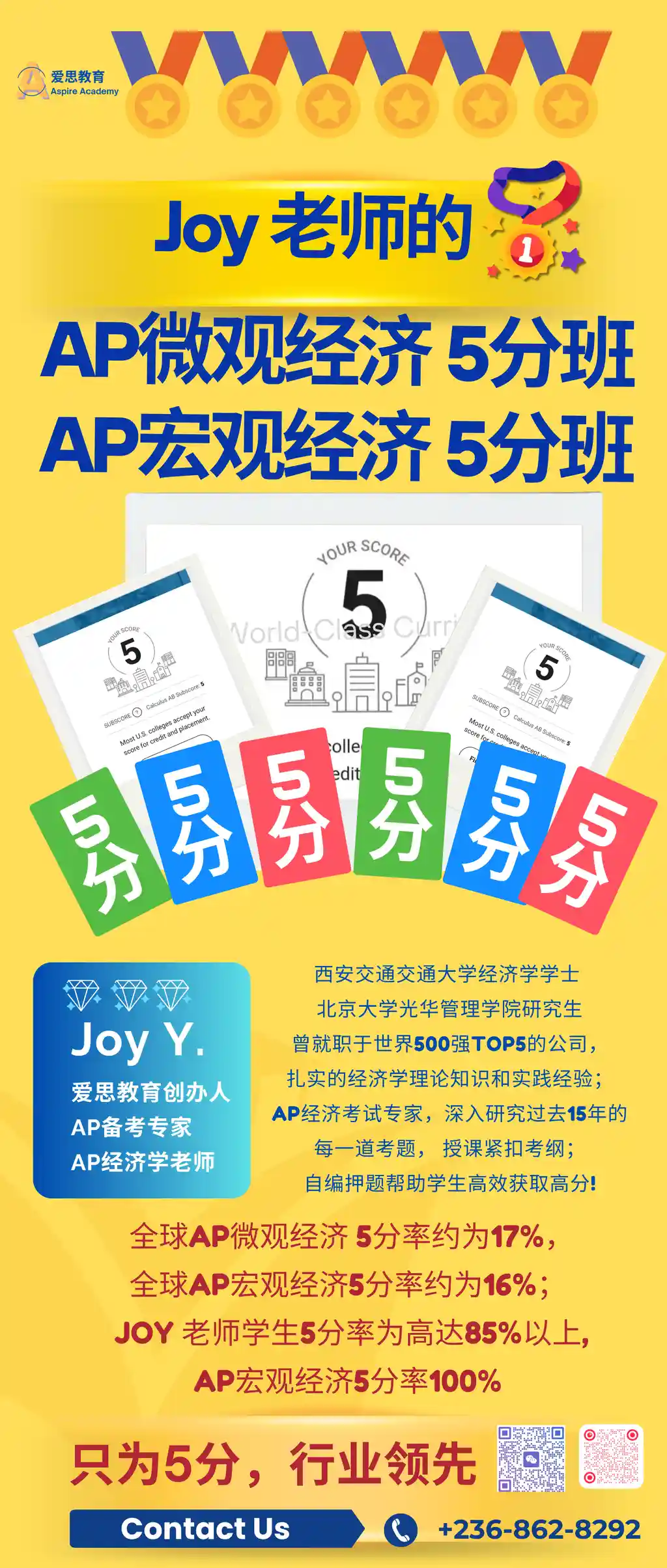 Joy 老师 AP 微观经济与宏观经济 5 分班宣传海报